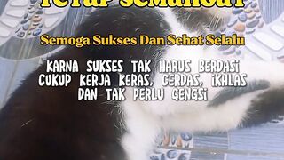 Berjuang untuk mencari nafkah