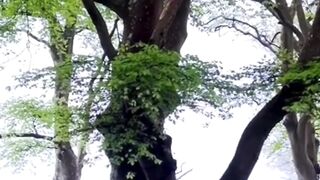 Beautiful nature 180