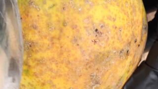 Papaya Fresh Juice