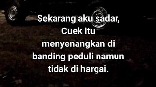 ayam broiler || kata kata lucu 643