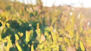 جميل 11