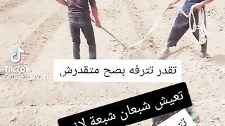 يعجبني زاولي