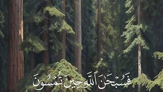 Tilawat quran 5