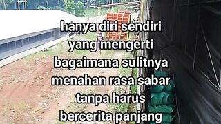 ayam broiler || kata kata lucu 645