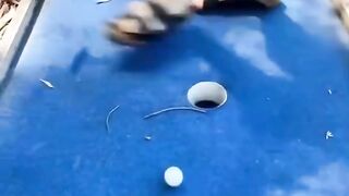 #comedy #reel #viral video