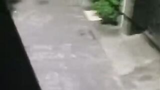 Teror Geng Motor