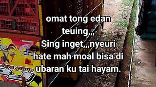 ayam broiler || kata kata lucu 648