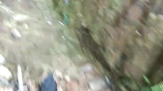 Burung jalak 2