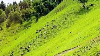 status,status video,status song,status whatsap,beast song,good song,video,natural