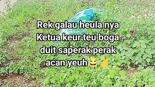 ayam broiler || kata kata lucu 650