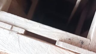 Pejuang perut bumi