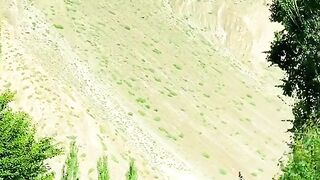 status,status video,status song,status whatsap,beast song,good song,video,natural