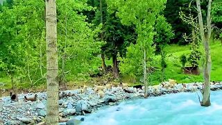 Beautiful scenery 20