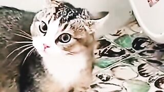 It hurts, pussy!!