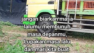 ayam broiler || kata kata lucu 651