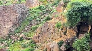 status,status video,status song,status whatsap,beast song,good song,video,natural