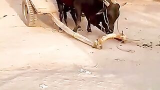 کیا بات ہے 2