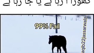 دماغ کا امتحان