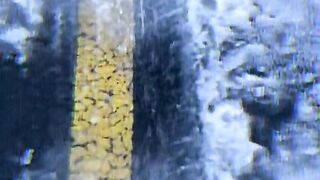status,status video,status song,status whatsap,beast song,good song,video,natural