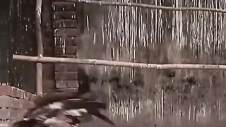 Amazing video 198