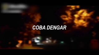 Lyrics of the song NOAH - dead city