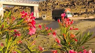 status,status video,status song,status whatsap,beast song,good song,video,natural