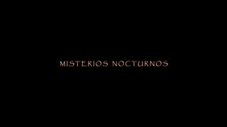 Proyecto artistico Misterios nocturnos  Parte 11  Guennadi Ulibin