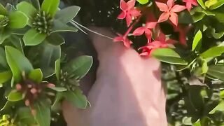 Descubra onde esta escondido o dinheiro