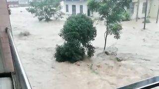 Just now! China cities submerged after once in a century floods hit multiple provinces