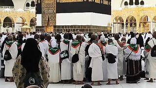 1_July_2024___تیری_حرم_کی_کیا_بات_ہے_مولا__????☝_#kaabalive_#ytshort_#tawafekaba_#today
