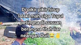 ayam broiler || kata kata lucu 652