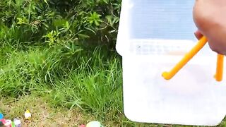 Catch Cute Chickens, Colorful Chickens, Rabbits, Cat, Goose, Duck, Betta Fish, Koi, Animal