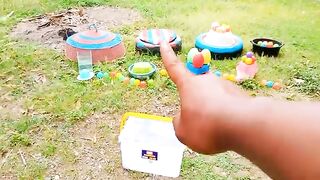 Catch Cute Chickens, Colorful Chickens, Rainbow Chicken, Rabbits, Cute Cats,Ducks,Animals