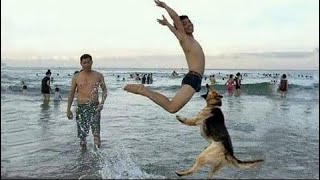 Compilation Des Moments Les Plus Drôles de l'année ?