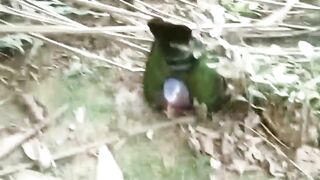Memasang perangkap burung di tanah
