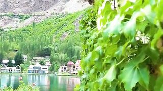 status,status video,status song,status whatsap,beast song,good song,video,natural