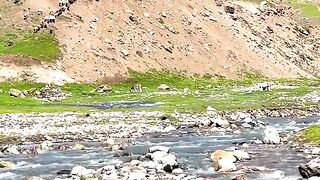 1790,status,status video,status song,status whatsap,beast song,good song,video,natural