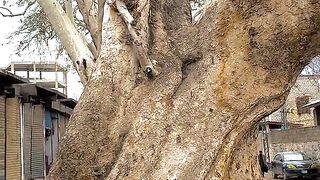 status,status video,status song,status whatsap,beast song,good song,video,natural