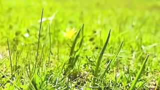 status,status video,status song,status whatsap,beast song,good song,video,natural