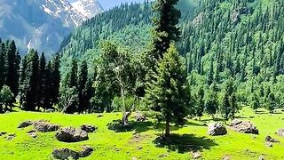 status,status video,status song,status whatsap,beast song,good song,video,natural