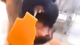 Dogs video|dogs funny video #dogs #cats #funny #video #prank