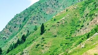 status,status video,status song,status whatsap,beast song,good song,video,natural