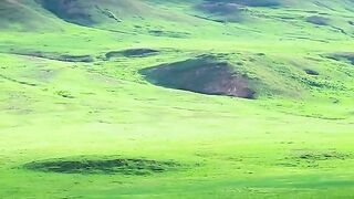 status,status video,status song,status whatsap,beast song,good song,video,natural