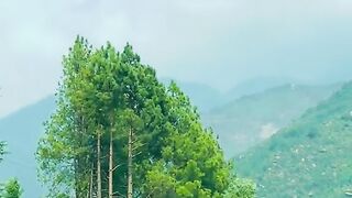 status,status video,status song,status whatsap,beast song,good song,video,natural