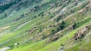 status,status video,status song,status whatsap,beast song,good song,video,natural