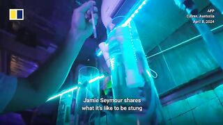 Meet the man stung 11 times by deadly jellyfish