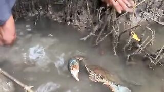 crab monster