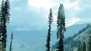 status,status video,status song,status whatsap,beast song,good song,video,natural