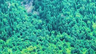 status,status video,status song,status whatsap,beast song,good song,video,natural