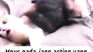 Acting genius